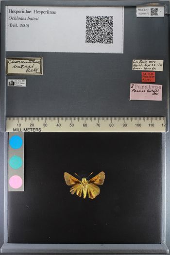 Media type: image;   Entomology 201970